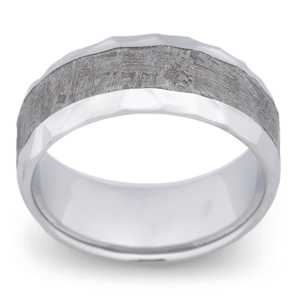 Men's Cobalt Chrome Wedding Ring with 9mm Gibeon Meteorite Band | Bonzerbands